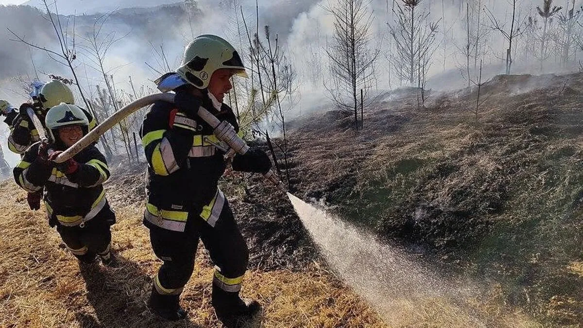 150 Einsatzkräfte standen am Mittwoch bis in den Abend im Löscheinsatz
