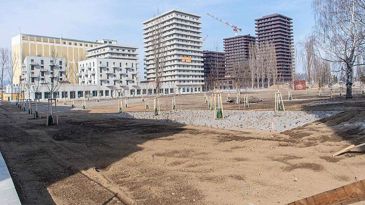 Am Rande des Reininghausparks (Bild) ist ein Gesundheitszentrum geplant