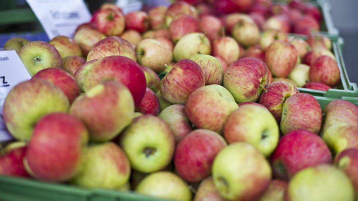 Frisches Obst und Gemüse soll es künftig das ganze Jahr über am Markt geben