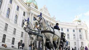 Fiakerkutschen gehören in Wien seit jeher zum Stadtbild
