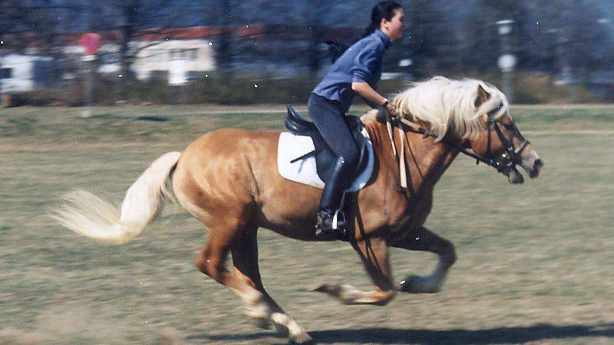 Das Pferd galoppierte ohne ersichtlichen Grund los (Symbolbild)