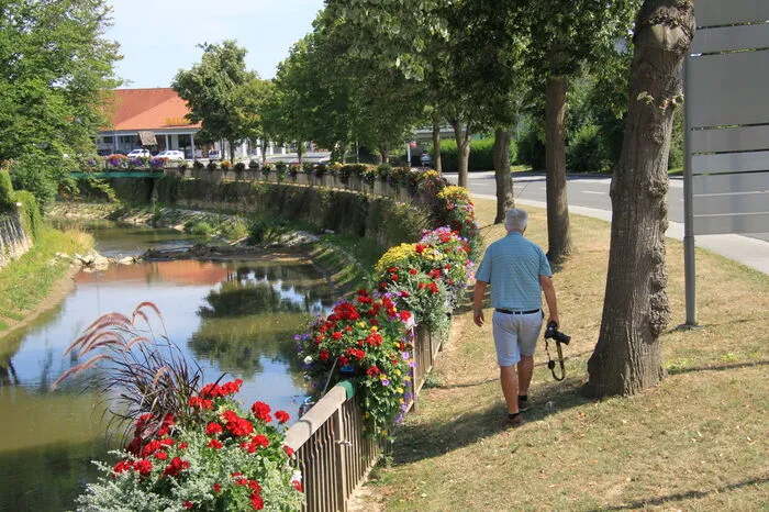 Fünf Floras