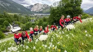 U6, U9 und U10 haben sich zum Pflücken getroffen