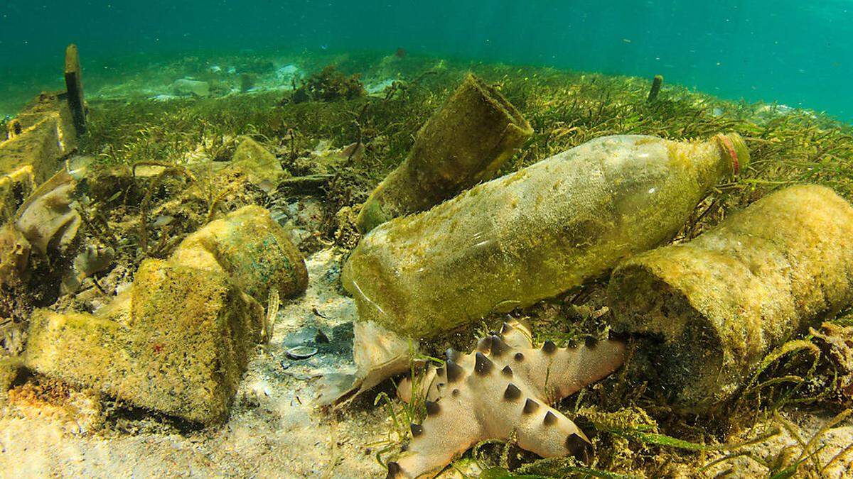 Plastikmüll am Meeresgrund - wo landet der Mikroplastik-Müll?