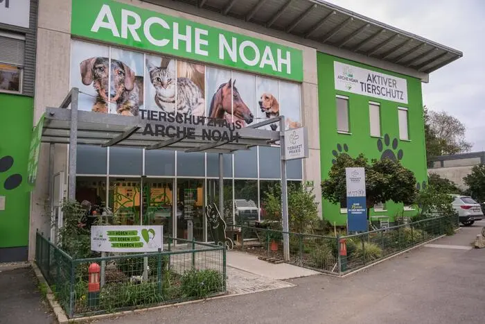 Beim Tierschutzhaus am Grazer Neufeldweg wurde ein neuer Außenbereich errichtet