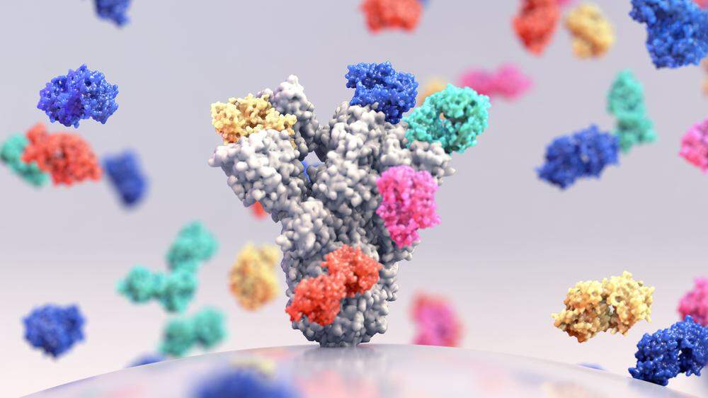Das Spike-Protein von Sars-CoV-2 ist jener Teil, mit dem das Virus an die menschliche Zelle andockt