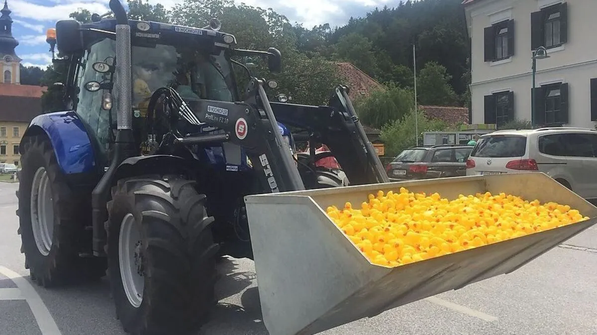Die Enten werden angeliefert