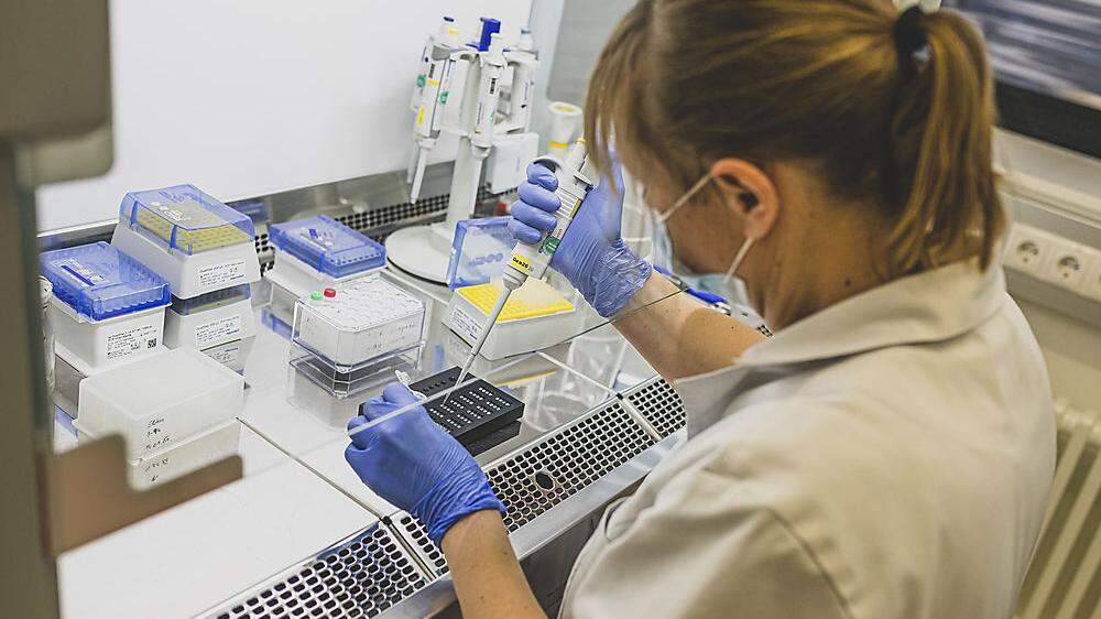 Derzeit müssen täglich Tausende PCR-Tests ausgewertet werden