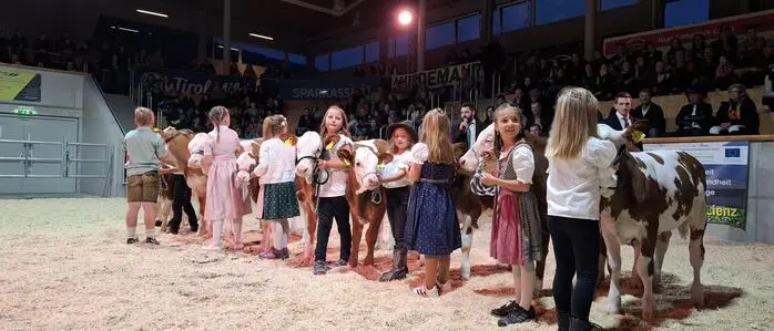 43 Kinder werden ihre Kälber zeigen