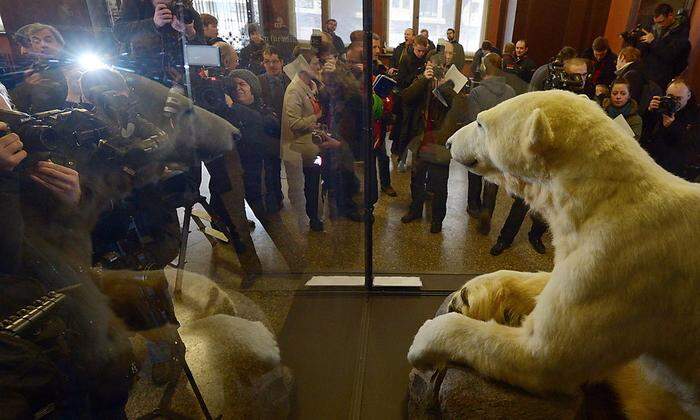 Bär Knut ist vielen noch in Erinnerung