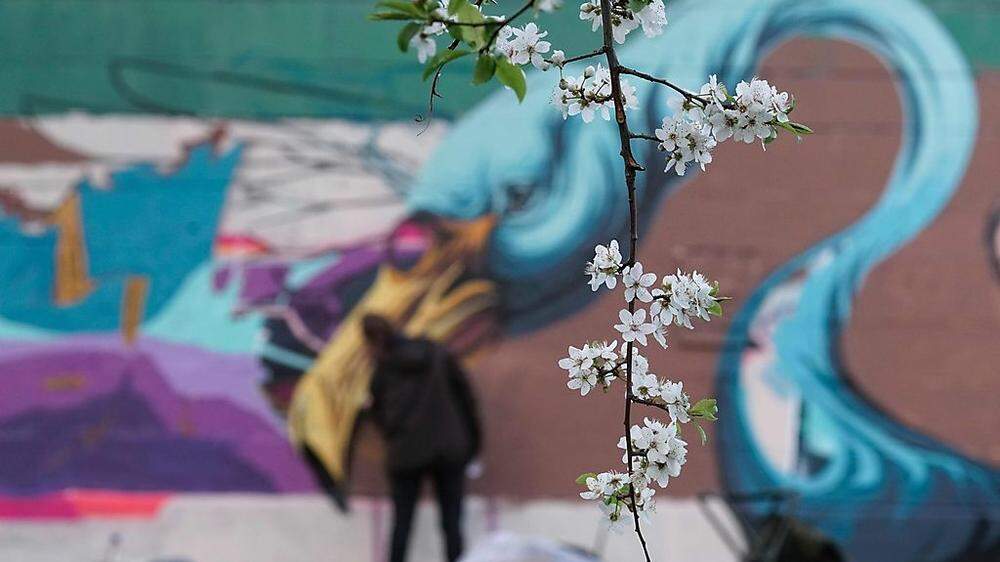 Graffiti am Wiener Donaukanal: Der Frühlin lockt die Künstler aus dem Haus
