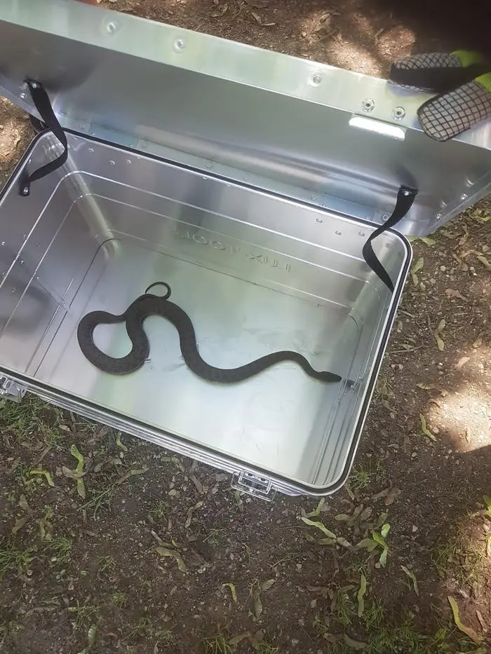 Wegen der Häufigkeit der Einsätze hat sich die FF St. Paul ein Schlangenset zugelegt