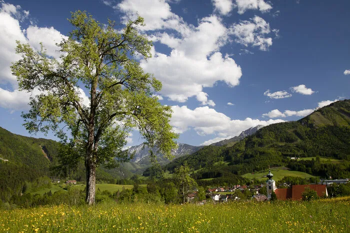 Der RegioBus fährt diesen Sommer auch in den Naturpark Steirische Eisenwurzen