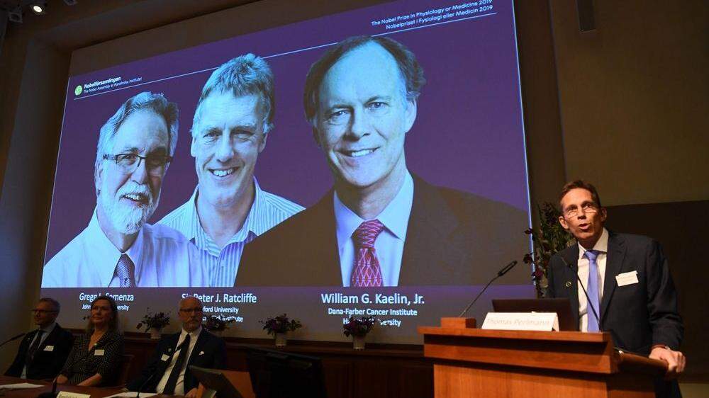 Der diesjährige Medizin-Nobelpreis geht an William G. Kaelin Jr., Sir Peter J. Ratcliffe und Gregg L. Semenza.