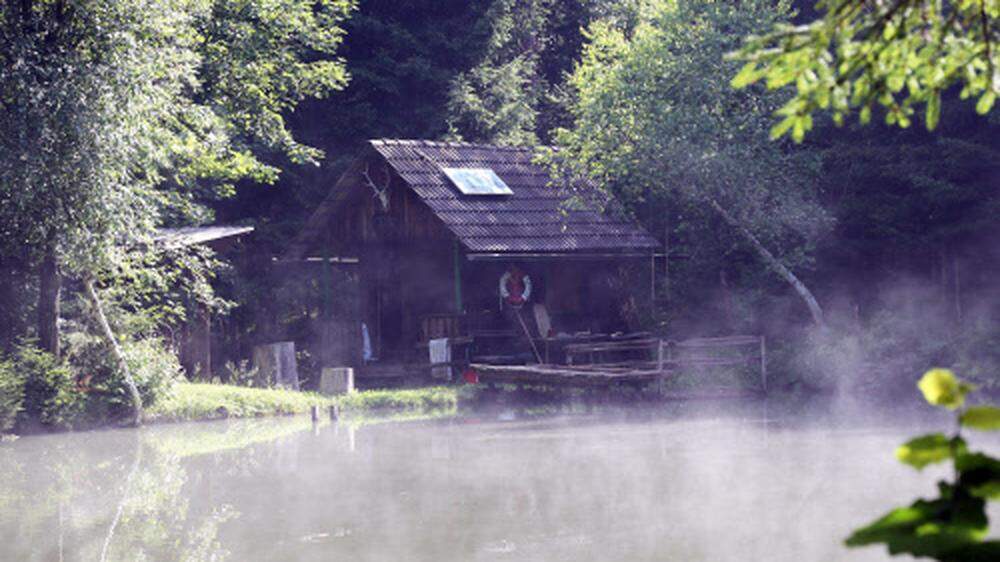 Idylle pur mitten im Wald - mit Holzhaus und Schwimmteich. 