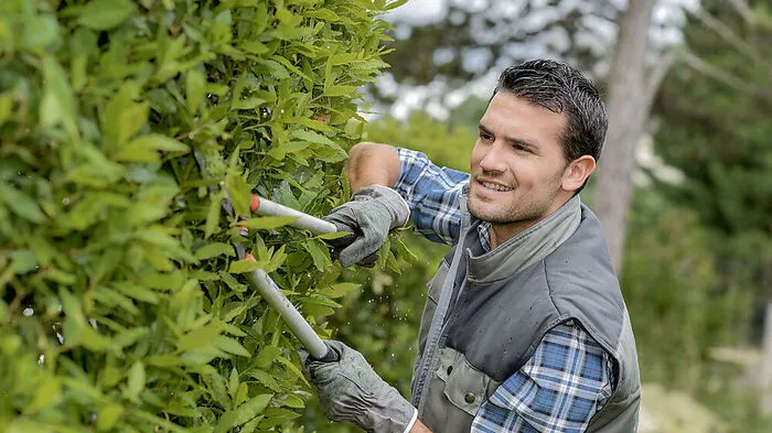 Die Gartenpflege wird von den Eigentümern gemeinsam festgelegt