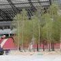 Anfang August wurden die ersten Bäume im Stadion aufgestellt