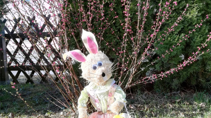 "Was man alles basteln kann, wenn man nur will", schreibt Beatrix Anwender aus Arnoldstein - und wünscht mit ihrem Osterhasen allen eine frohes Osterfest,