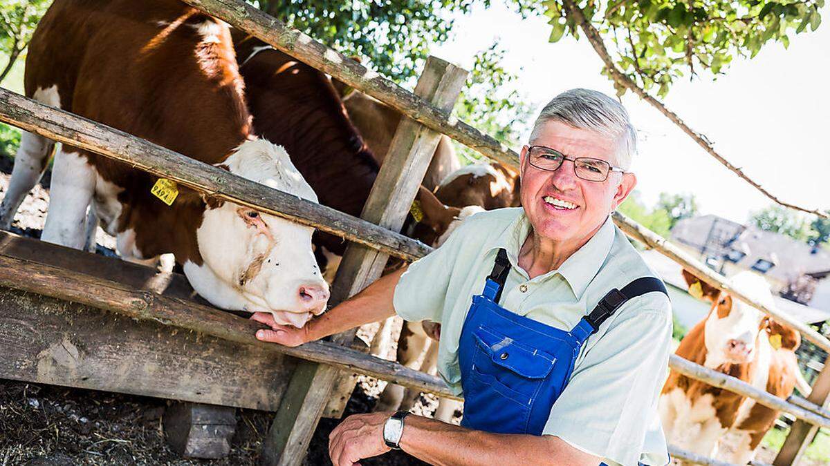 Hermann Irrasch betreibt in Treffling nahe Meiselding eine Landwirtschaft mit 85 Stück Fleckvieh 