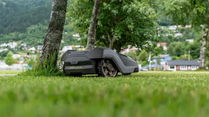 Mähroboter sollten nie „laufen“, wenn sich Tiere oder Kinder im Garten aufhalten (Symbolfoto)