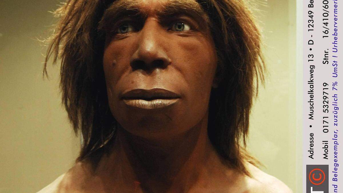 Neandertaler haben uns das Frühaufsteher-Gen vererbt