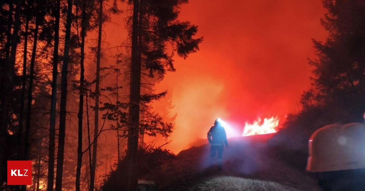 Wie-bek-mpfen-Feuerwehrleute-berhaupt-einen-Waldbrand-