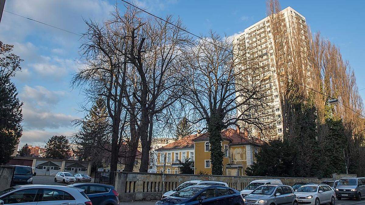 Diese Lücke in der Elisabethstraße wird straßenseitig verbaut, dafür wird der Innenhof entsiegelt