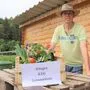 Bernhard Tiefengraber bietet ab Juli Gemüsekisten-Abos an