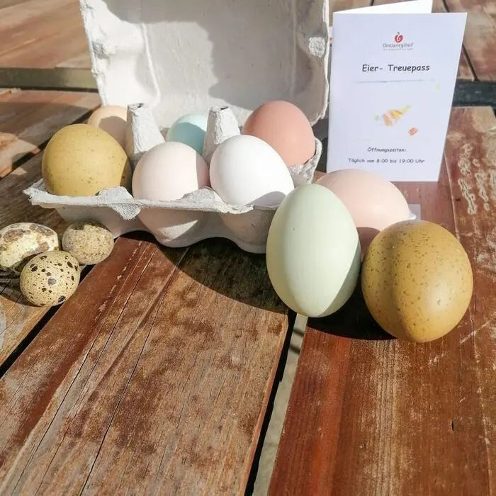 Die Eier werden mittlerweile österreichweit verschickt