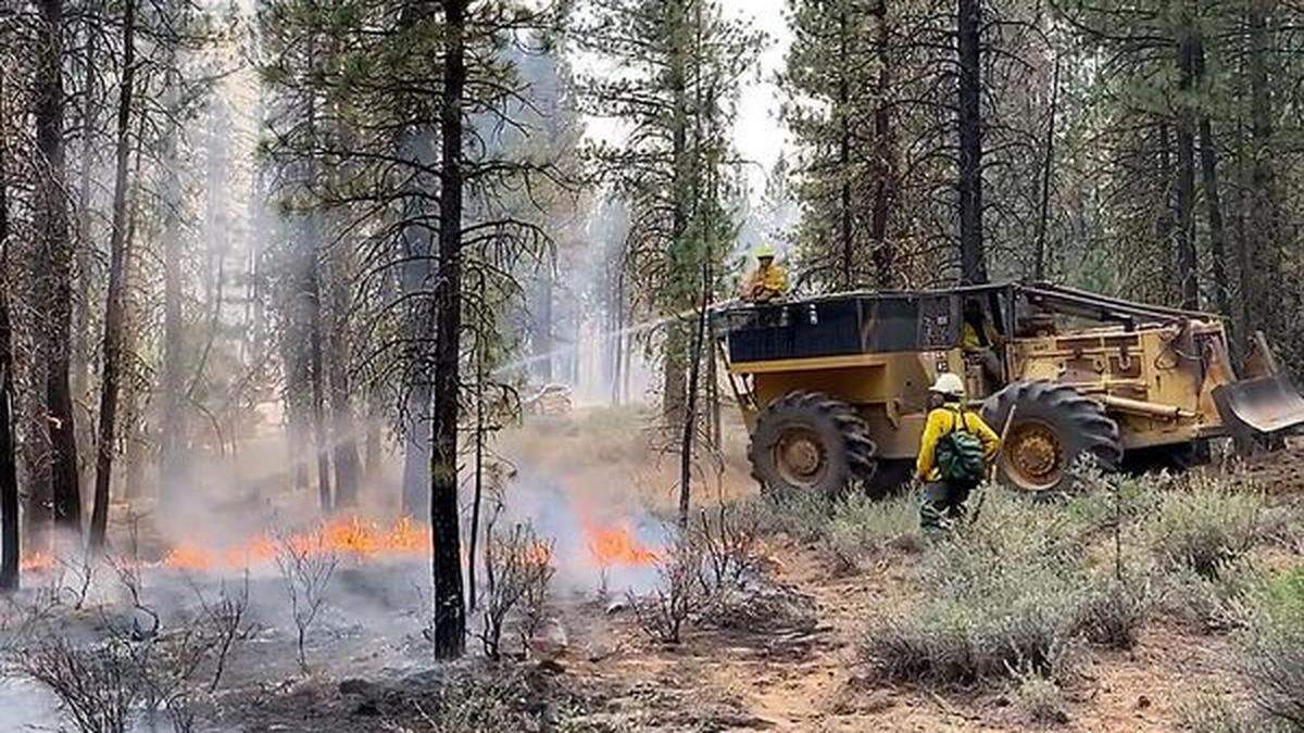 Der nach der nahegelegenen Ortschaft &quot;Bootleg&quot; getaufte Waldbrand im Süden Oregons ist das mächtigste von derzeit rund 80 aktiven größeren Feuern in den USA 