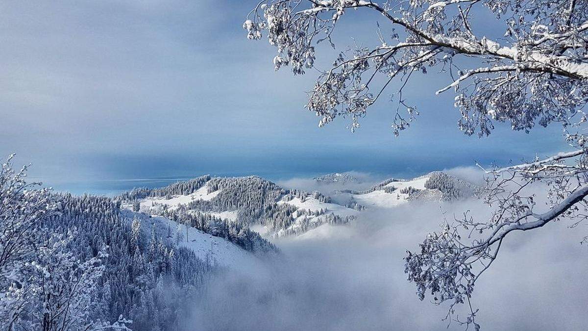 Winterlich Almenland - ein Bild von Leserreporterin Renate Spreizer-Neuhold