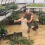 Hochwasser bei der Firma Blumen Sammer in Schwarzau. Im Einsatz: Der Gärtner Andreas