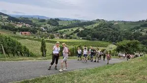 Anfangs ging es entlang der Weingärten steil bergauf