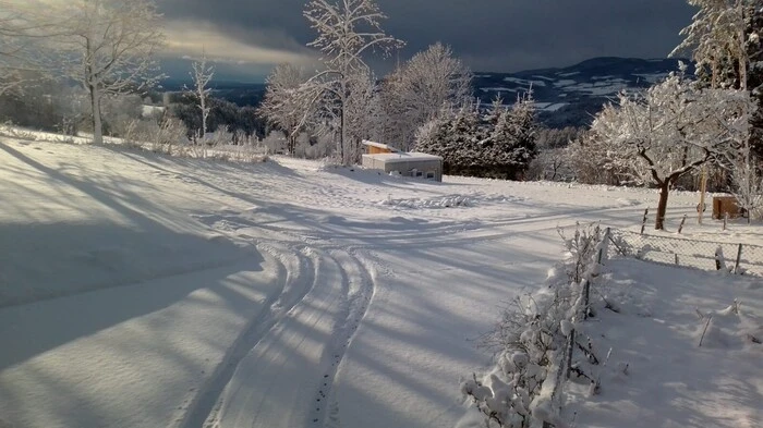 Während in St. Lorenzen am Wechsel eine Schneedecke die Landschaft bedeckt...