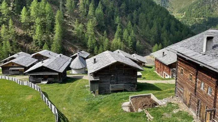 Auf dem Weg zur Oberstaller Alm wurde der weitgereiste Luftballon entdeckt