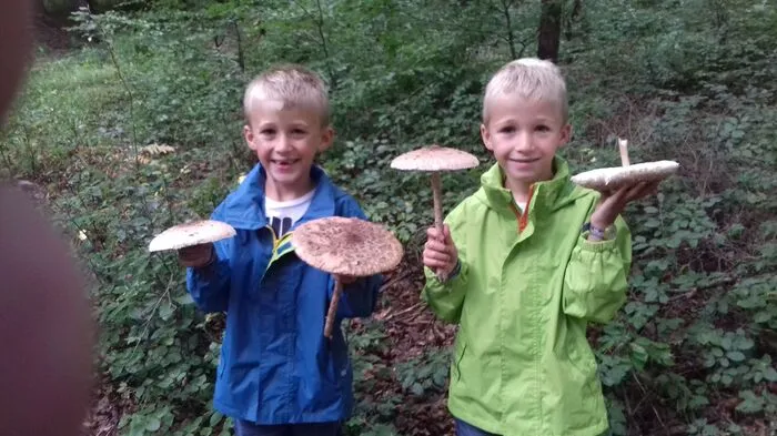 Als Jäger und Sammler waren die Zwillinge Johannes und Maximilian mit ihren Großeltern Elfi und Robert Motter in Fehring unterwegs, um Parasolpilze zu finden.