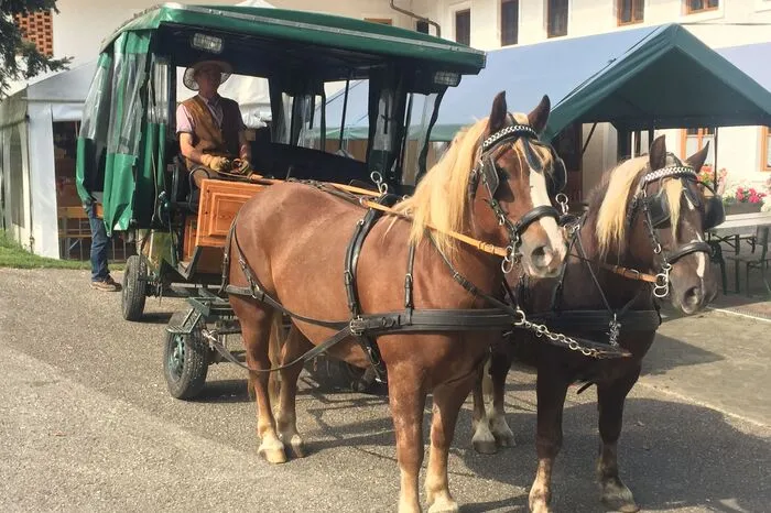 Mit der Kutsche parkt Franz Weingartner schneller ein als so mancher Traktor-Fahrer