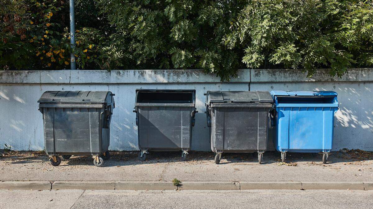 In einem Müllcontainer in der tschechischen Stadt Usti nad Labem wurde ein Säugling gefunden. Jetzt wurde die Mutter verhaftet.