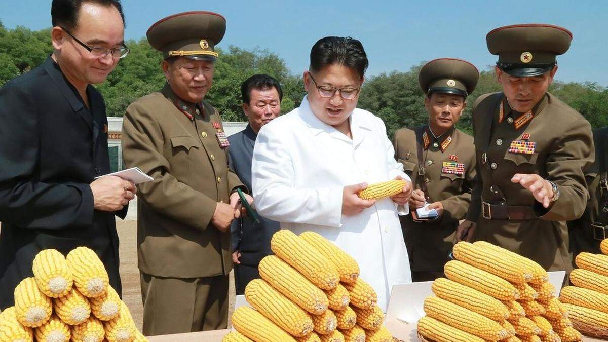 Der nordkoreanische Machthaber Kim Jong-un 2016 bei einer Farminspektion