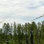 Der Windpark Grafenschlag wurde mitten im Wald errichtet. Das stört Naturschützer . . .