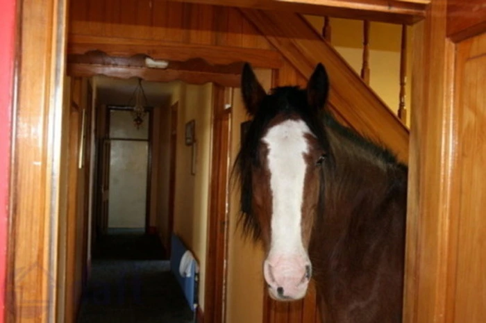  Und hier war wohl Pippi daheim...