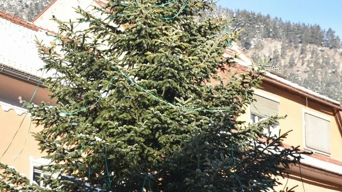 Christbaumschmuck, Geschenke und mehr standen am dritten Adventwochenende beim "Wundervollen Wölzer Weihnachtsmarkt" im Mittelpunkt.