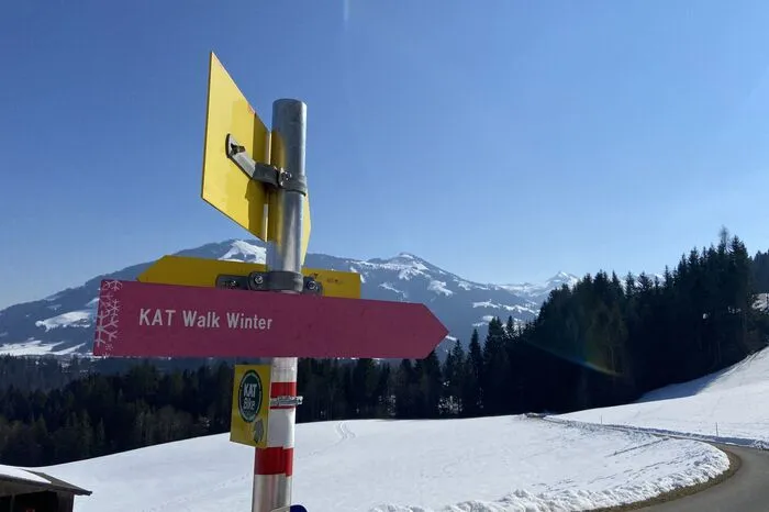 Den Weg weisen pinke Wegweiser ...