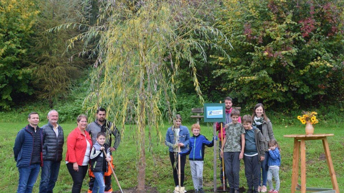 Anlässlich des 25-jährigen Bestehens als Klimabündnis-Gemeinde wurde in St. Peter im Sulmtal eine Weide gesetzt