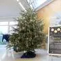 Weihnachten ist auch im Krankenhaus Lienz ein besonderer Tag