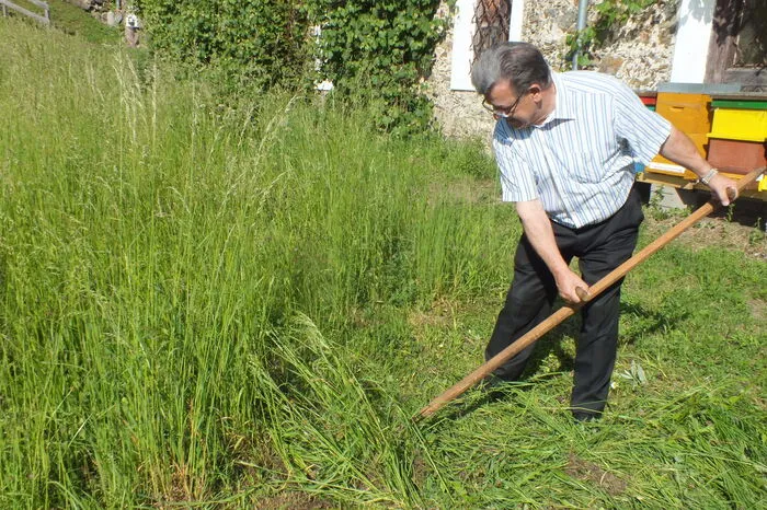 Günther Waldner mähte das Gras beim Handwerksmuseum für die Kinder.