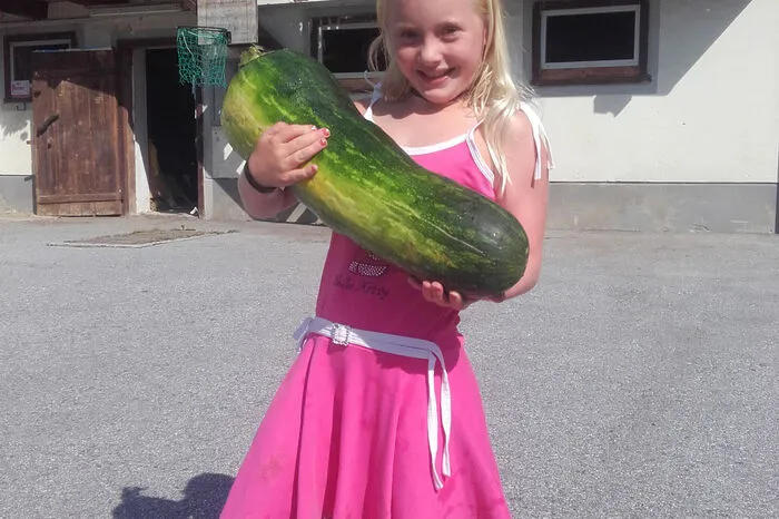 Beim Ernten dieses 7,6 Kilogramm schweren Zucchinos musste sich Anna-Lena Stockner aus Tober bei Passail ganz schön anstrengen!