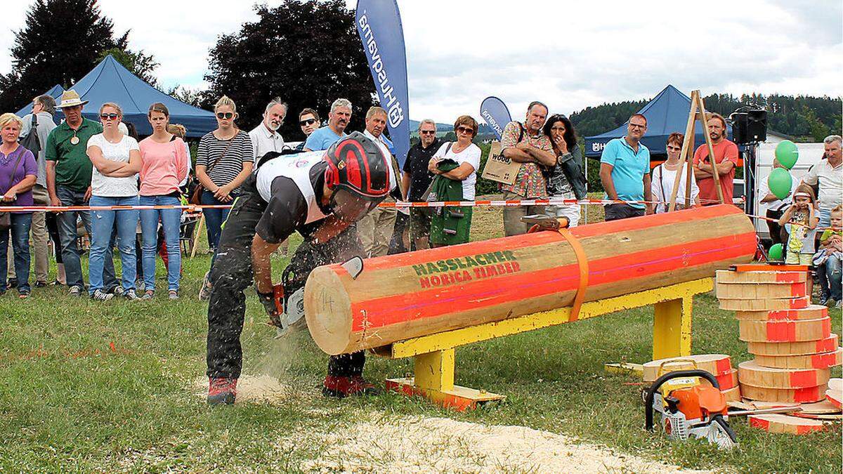 Kraft, Genauigkeit und Schnelligkeit machen die Leistungen der besten Waldarbeiter aus