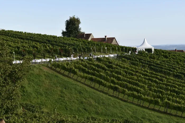 Auf der Riede Seindl fand eine kleine Wanderung zur Tafel statt, wo im Anschluss das Vier-Gänge-Menü bei Sonnenuntergang serviert wurde.