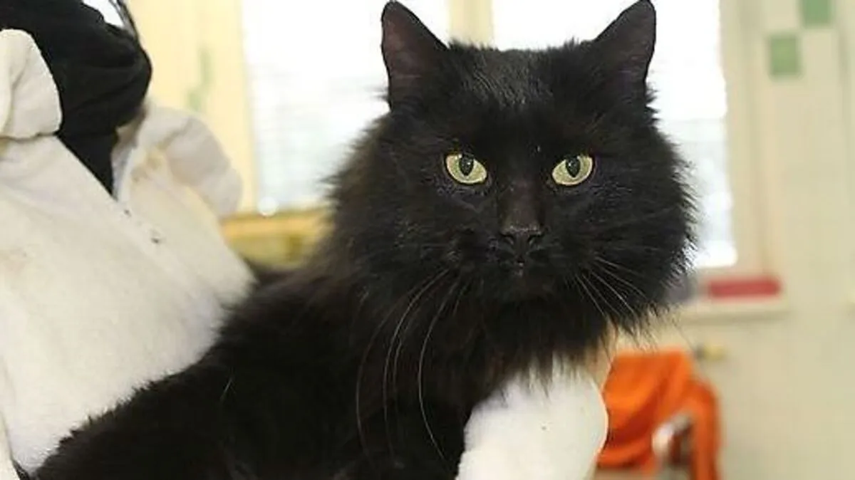 "Schneewittchen" hat geworfen 